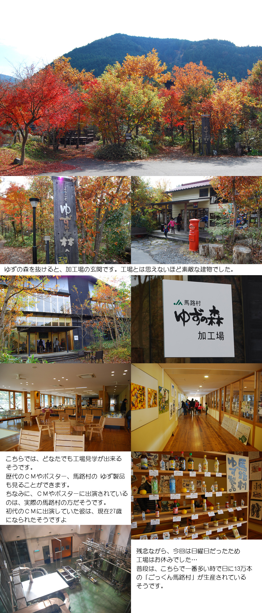 113-3